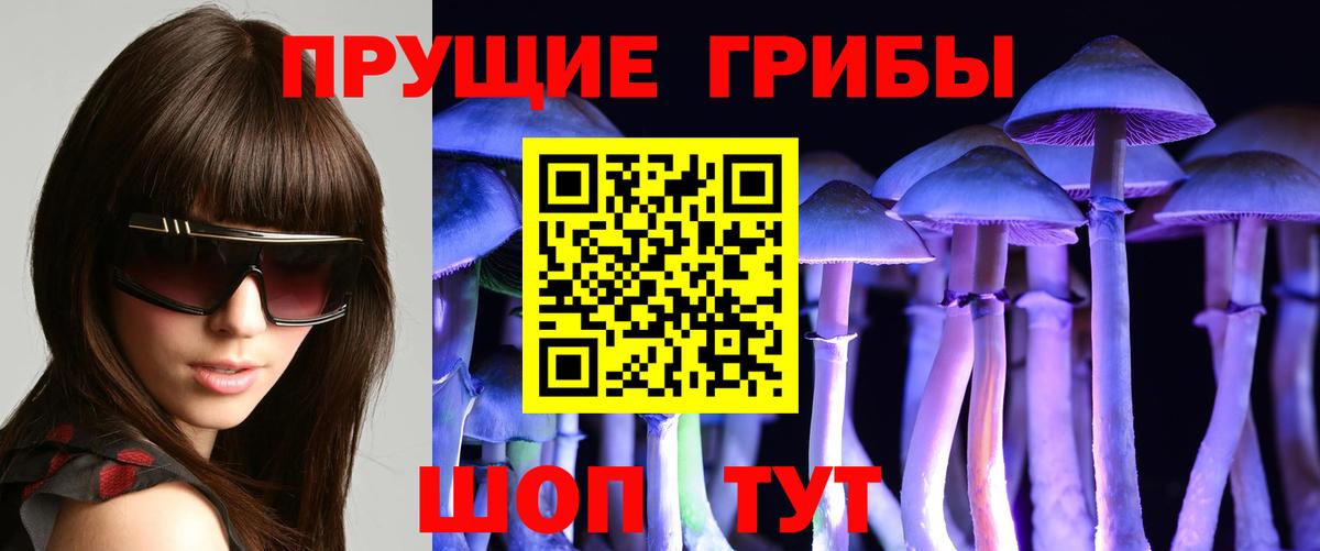Галлюциногенные грибы Psilocybe  Вход с VPN  Галлюциногенные грибы Magic Shrooms  Ржев 